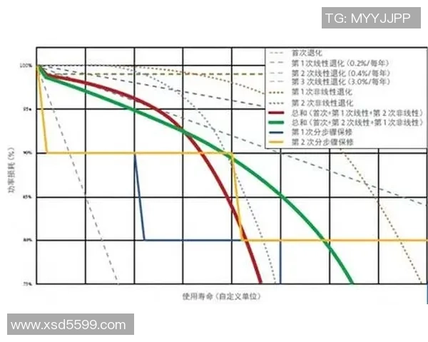 足球明星的语言多样性探讨及其对全球文化的影响