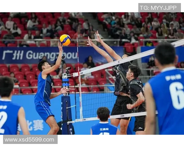 重庆排球队在全国排球技术排行榜中荣获第五名展现出强劲实力与潜力